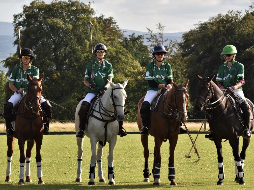 What is the organisation structure of the Irish Polo Foundation?