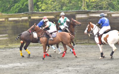 Irish Polo Foundation awards at the tournament for the Tricolour